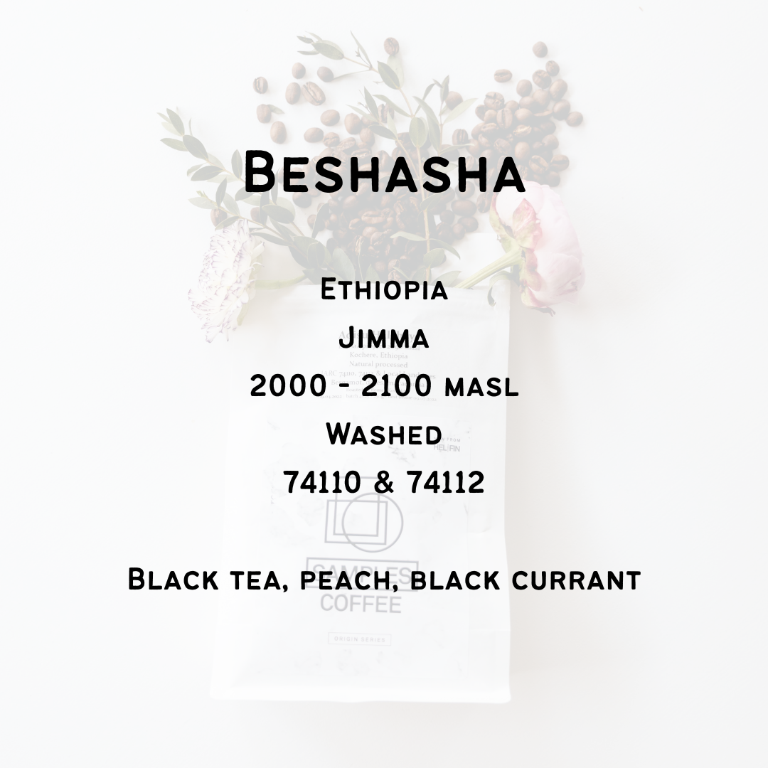 Beshasha