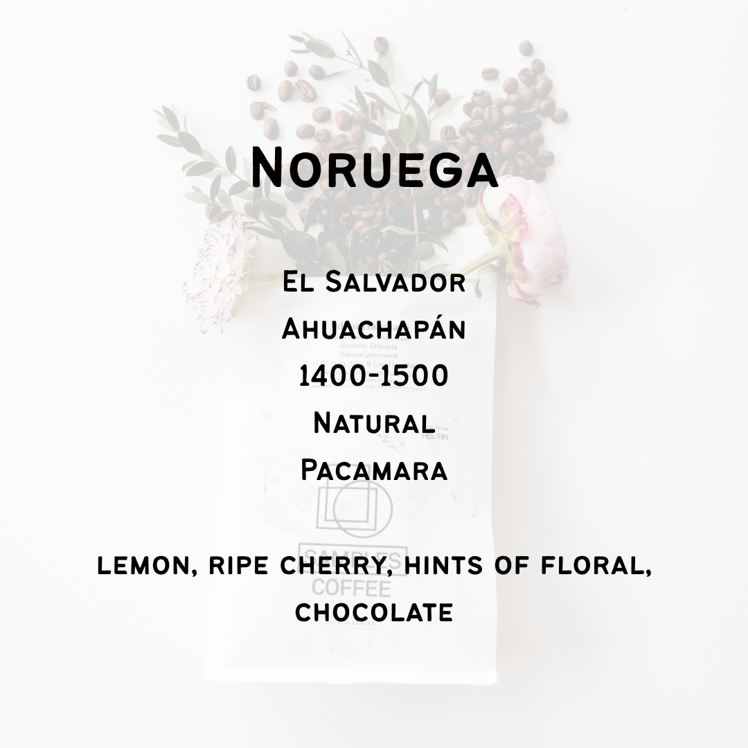 Noruega