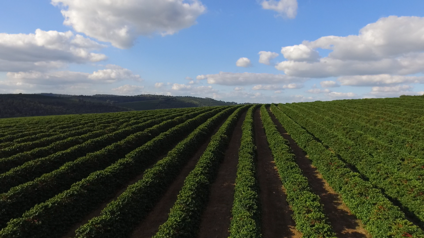 Fazenda Salto