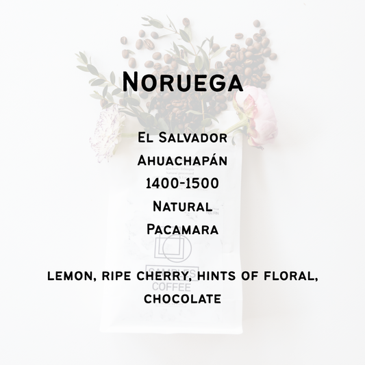 Noruega