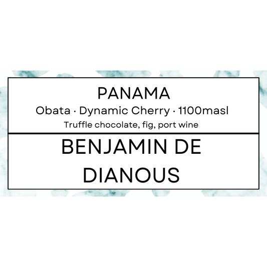 Benjamin de Dianous