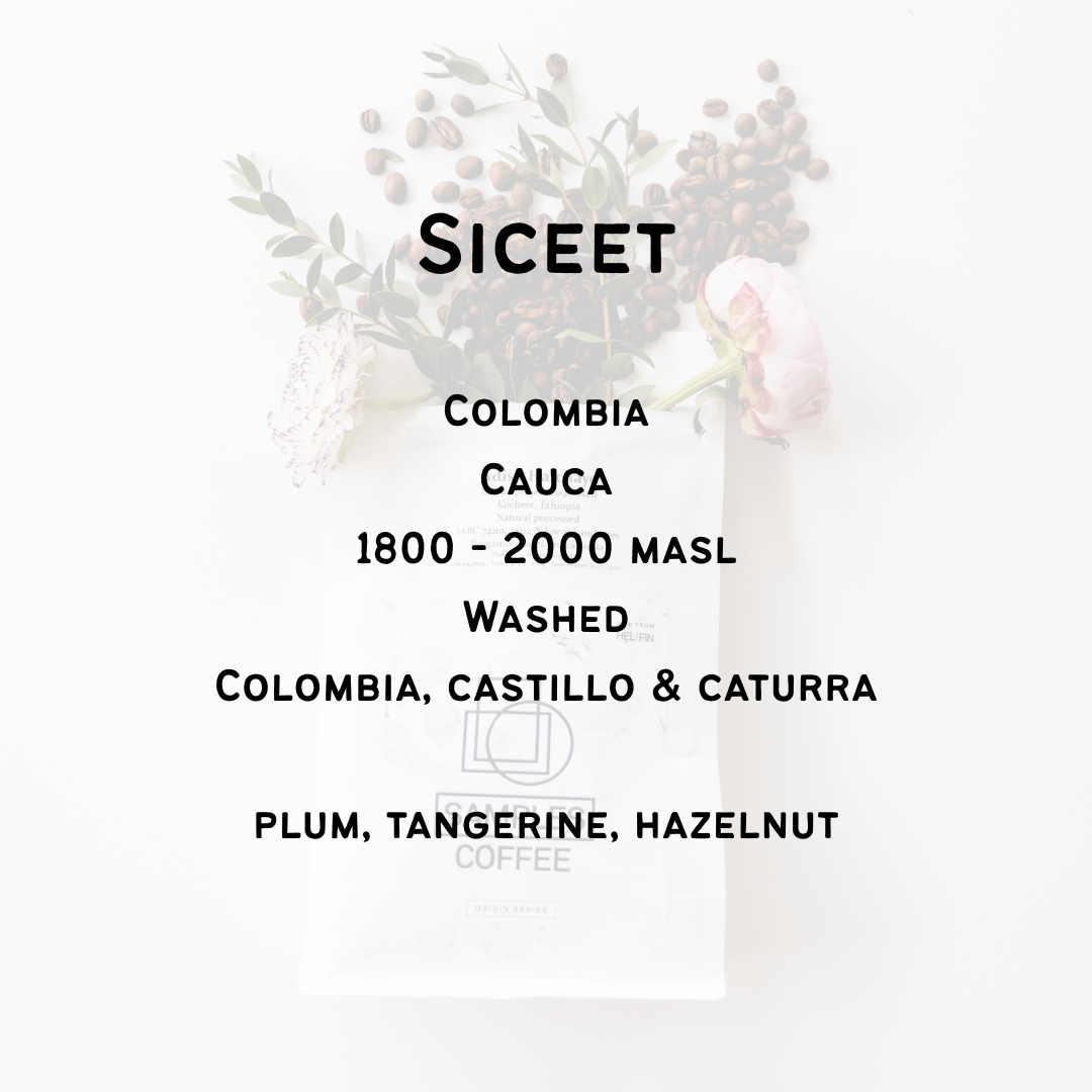 Siceet